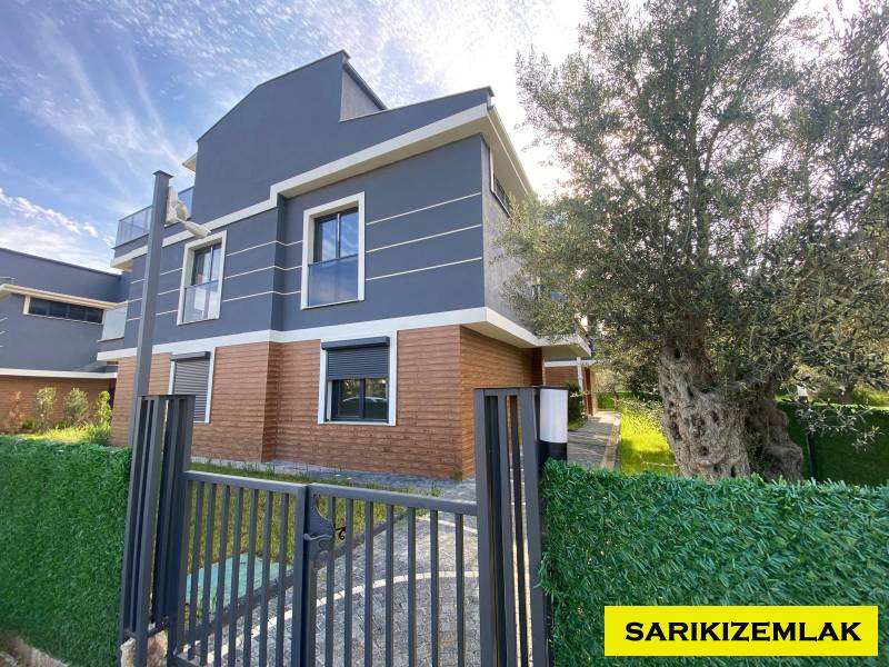 Büyü4582 Büyü4582